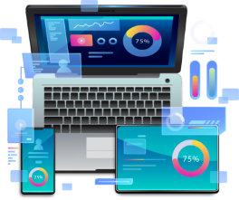 Custom Web Development